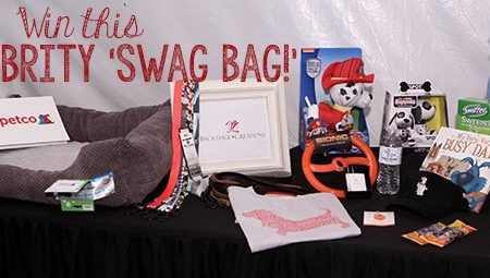 Swagbag