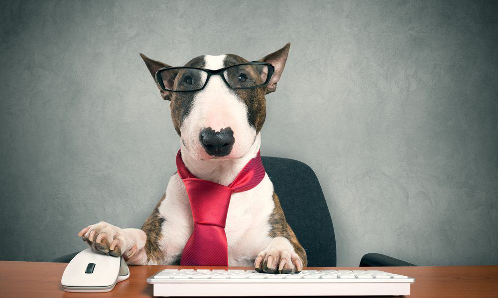 Taxdog1