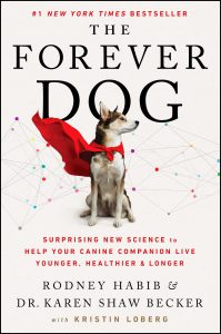 The Forever Dog Book Cover