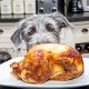 Thanksgiving Recipes