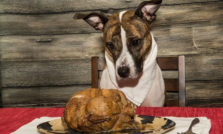 Thanksgiving