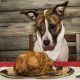 Thanksgiving