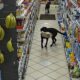 Two Black Labradors Getting Caught Stealing At A Gas Station
