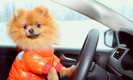 Wintertravel