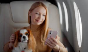 Woman With Dog Using Smartphone In First Class Plane