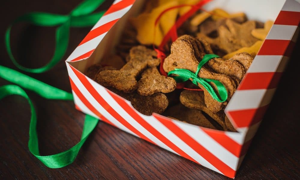 Xmascookies Min