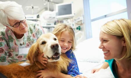 Young Girl Being Visited In Hospital By Therapy Dog