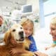 Young Girl Being Visited In Hospital By Therapy Dog