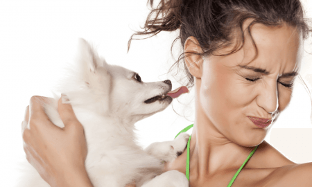 Bad Dog Breath