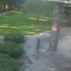 Home Security Footage Showing A Mountain Lion And A Dog
