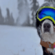 Mayor Parker The Snow Dog