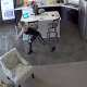 Dog Sitter