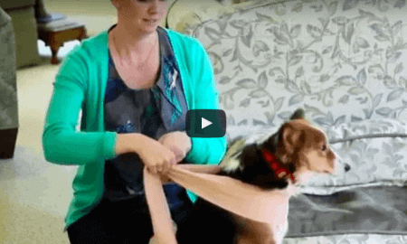 Anxiety Wrap