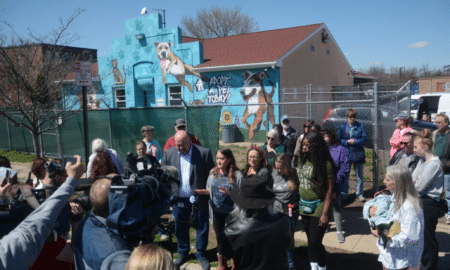 Trenton Animal Shelter